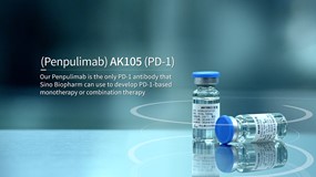 派安普利单抗（PD-1单抗）治疗转移性鼻咽癌的上市申请获NMPA受理