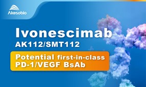 Akeso Completes Enrollment in Phase III Trial of PD-1/VEGF Bispecific Antibody (AK112) Combined with Chemotherapy in EGFR-TKI-resistant nsq-NSCLC
