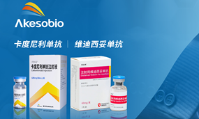 安博官方网页版PD-1/CTLA-4双抗与荣昌HER-2 ADC联合疗法探索胃癌治疗