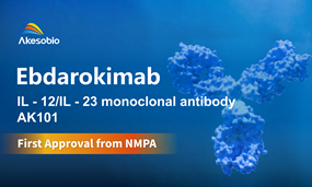 Akeso’s Ebdarokimab ( IL - 12/IL - 23 Dual - Targeted Monoclonal Antibody) Approved in China for Moderate - to - Severe Plaque Psoriasis